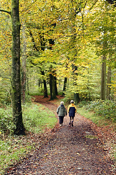 Camouflaged walkers