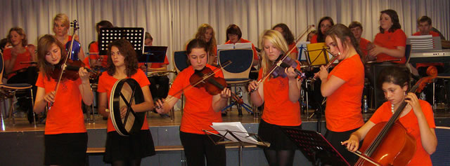 Concert instrumentalists