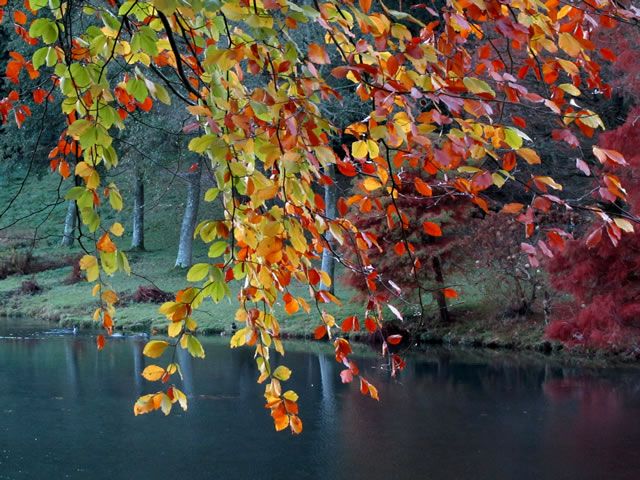 View over the lake