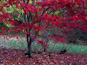 More Images of the Stourhead Estate