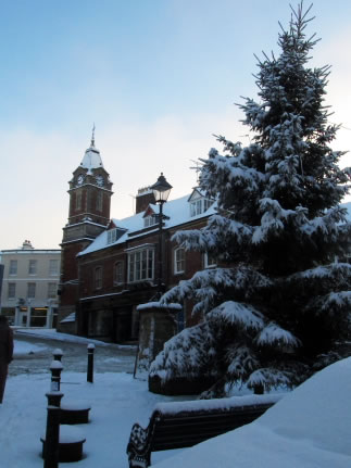 The Town Hall and the Tree