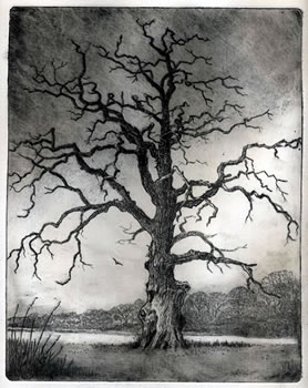 Dead Oak