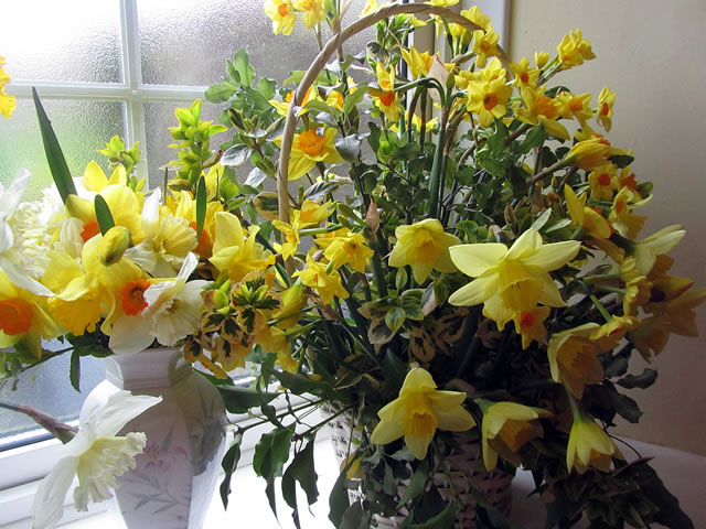 A basket and vase of Daffodils