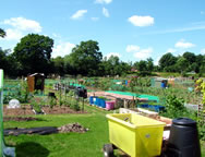 Allotments