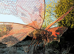 Wire butterly in detail