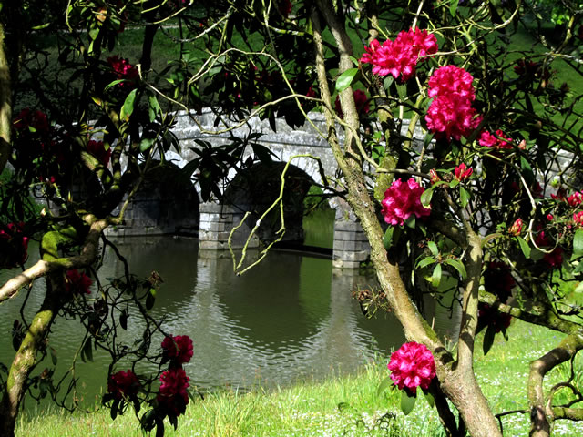 Bridge reflected in the lake