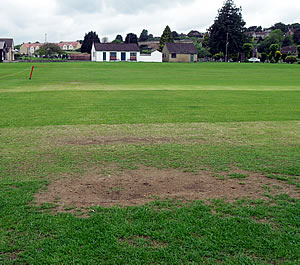 The vandalised cricket pitch