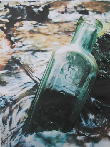 'Green Bottle' by Leanna Salter