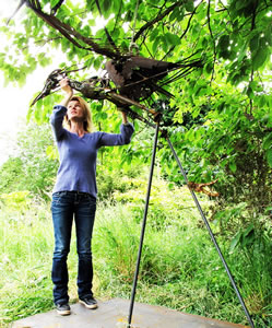 Fiona Campbell building a steel heron from scrap