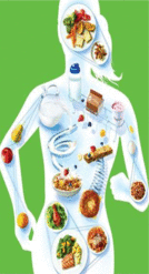 Abstract nutrition diagram