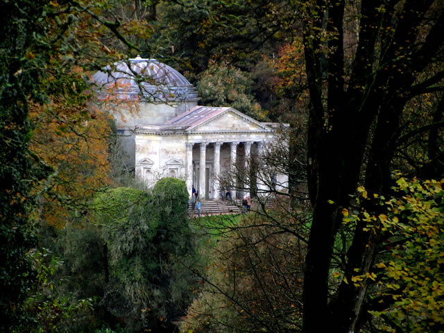 A view through the trees