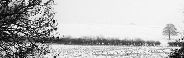 Wincanton Covered in Snow in Snag Lane, by Matthew Ley