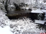 'Wincanton Winter' Competition Winners and Photo Gallery