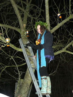 The Wassail Queen hanging Cidersoaked toast in the tree