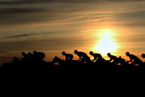 Racehorses at sunset