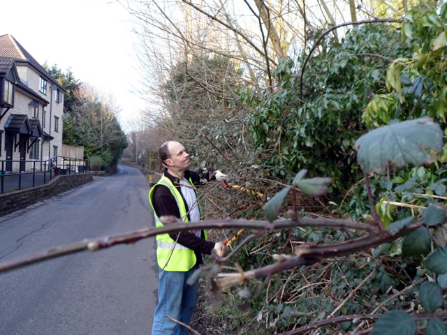 Brambles under attack from Adam