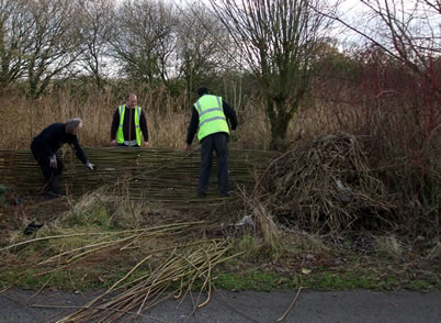 Willow Weaving