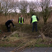 FREE* Green Skills Workshops at Carymoor in February & March