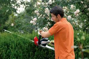 Hedge trimmer