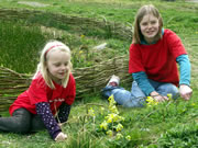 A Unique Opportunity to Explore Carymoor Nature Reserve