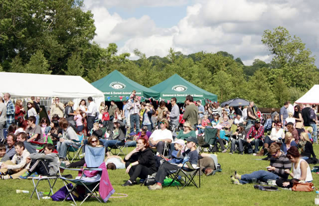 PAWfest crowd PAWfest crowd