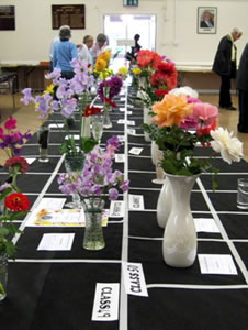 Wincanton Gardeners' Show flower entries