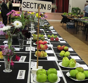 Fruit and flower show entries