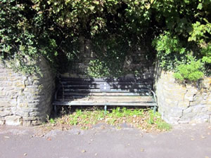 Weeds overgrowing a public bench at the top of Bayford Hill