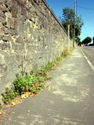 Weedy Wincanton