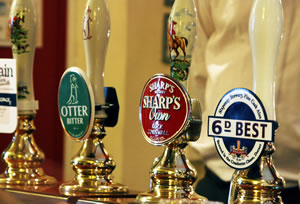 Ale pump clips