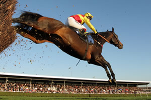 A Wincanton Racecourse brochure photo