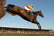 Racing Returns to Wincanton With a Parade of Equine Stars