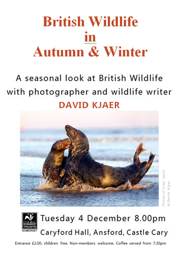 Somerset Wildlife Trust Talk - British Wildlife in Autumn & Winter poster