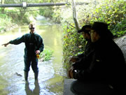 Your River Cale Needs You! <span style='color: red'>POSTPONED</span>