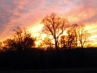 Silhouette at Sunset, by Mandy Cochrane