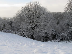 Snowy Hummocks, by Ian McClean