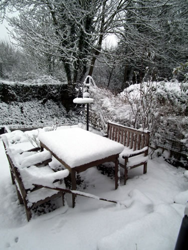 Garden under heavy snow