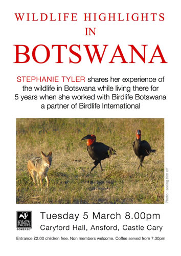 Wildlife Highlights in Botswana poster