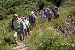 Balsam Centre health walk