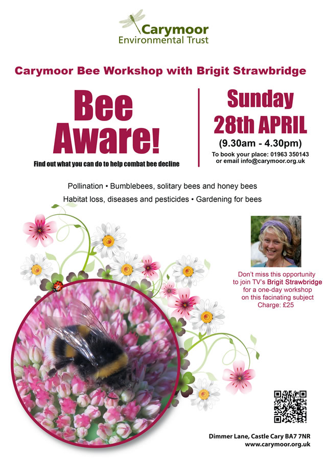 Bee Aware poster