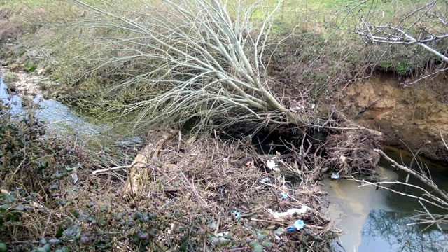 The River Cale blockage from the bank above, before it was cleared by CATCH