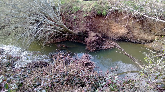 The River Cale blockage from the bank above, after it was cleared by CATCH