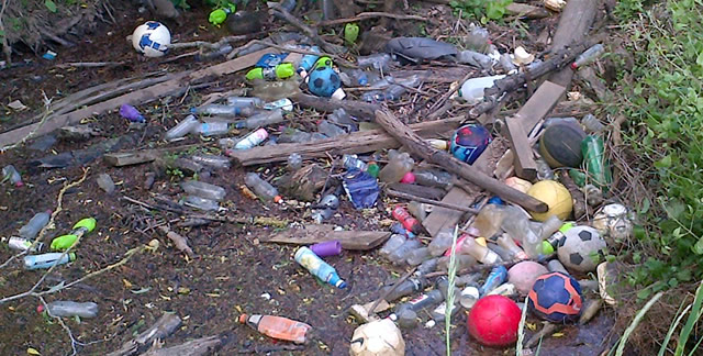 A collection of litter spotted about a mile outside Wincanton.