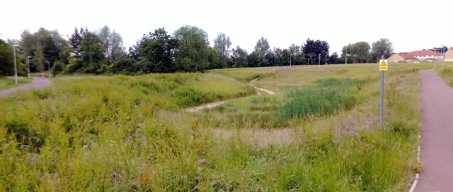 The wetland between the recreation ground and Morrisons, below the New Barns estate