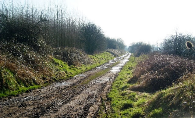 The trackbed at Marsh Lane, South Cheriton