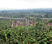 The View from Bayford Hill