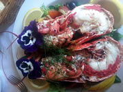 Lobster Week at Truffles