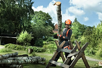 Extreme log-cutting