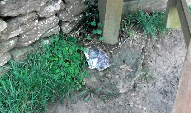 Another bag of crap left at the foot of a public footpath gate.