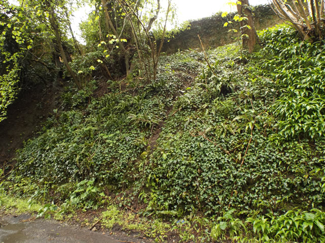 The steep bank